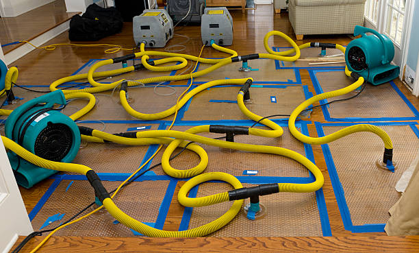 Professional Basement Flood Cleanup technician working in Clayville, RI